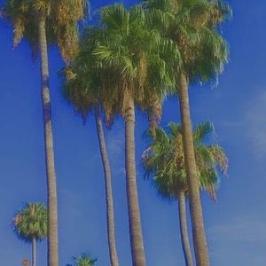 Meet your Posher, Sofia